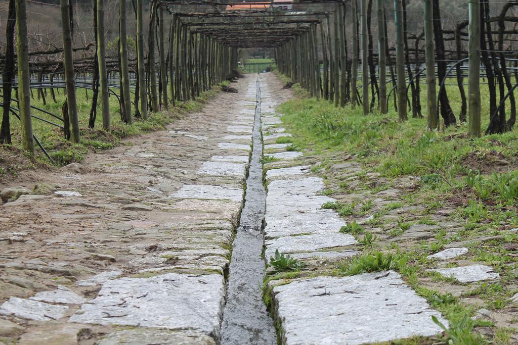 Quinta Da Eira Do Sol Villa Guimarães Exterior foto